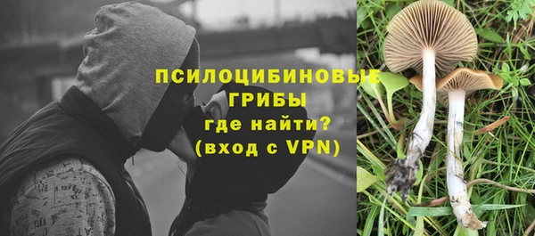 ешки Абаза