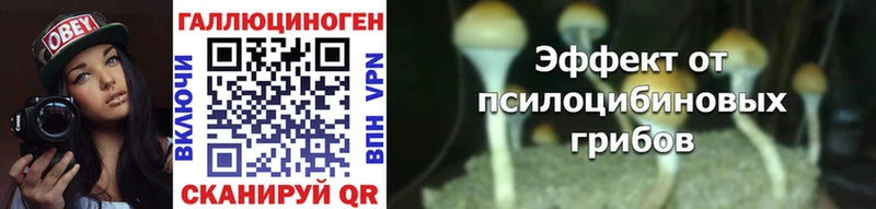 Псилоцибиновые грибы Psilocybe  Пучеж 